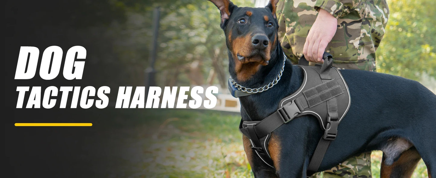 Tactical Dog Training Harness