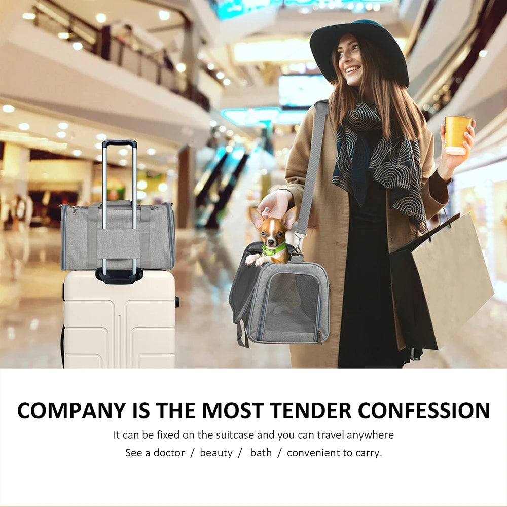 Soft-Side Pet Carrier Backpack