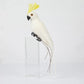 Handmade Feather Parrot Lawn Ornament