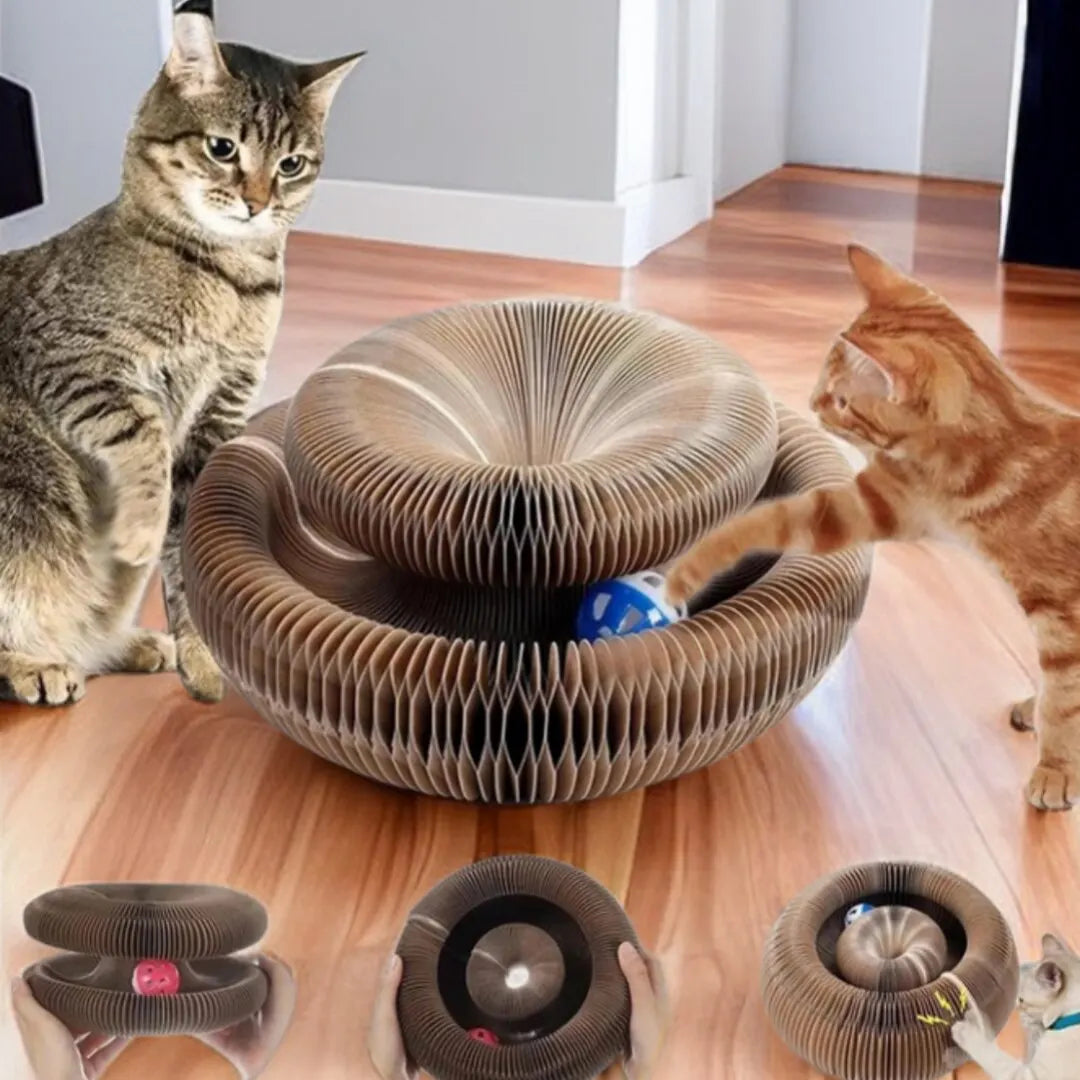 Round Cat Scratching Board with Ball