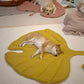 Dog Cooling Leaf Mat Blanket