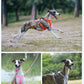 No-Pull Reflective Dog Harness Vest