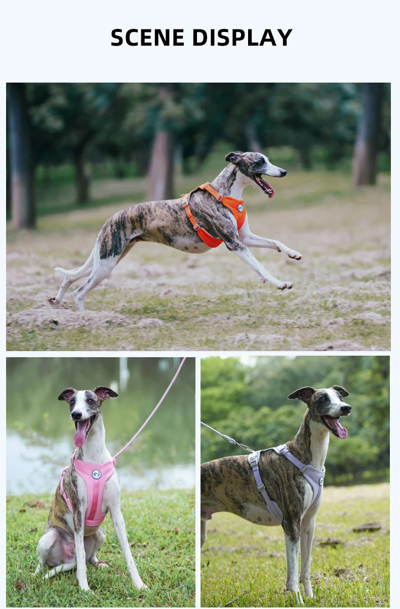 No-Pull Reflective Dog Harness Vest