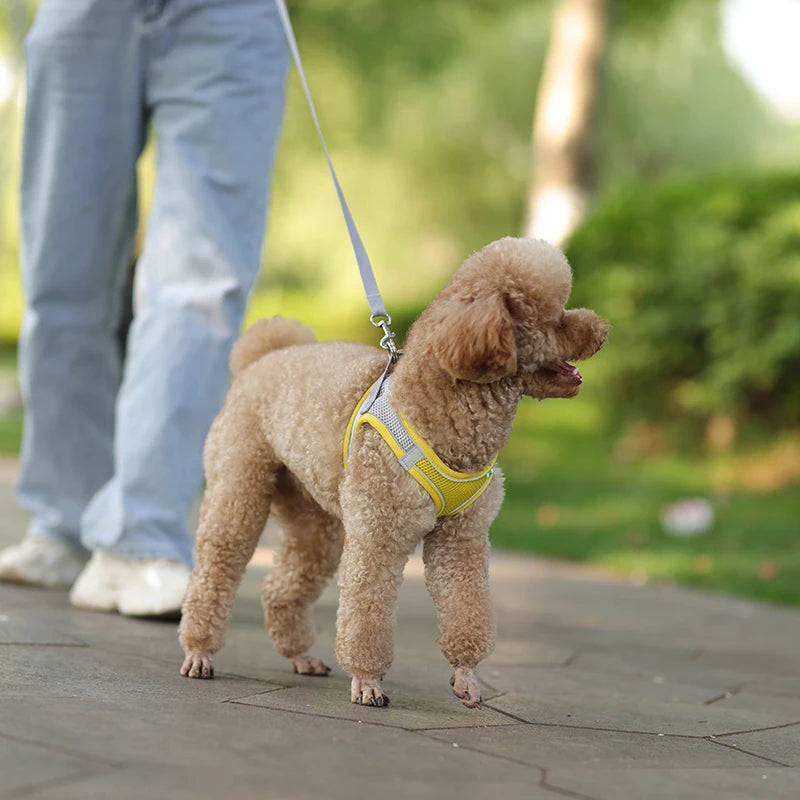 Adjustable Dog Harness & Leash Set