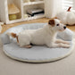 Non-Toxic Pet Cooling Mat