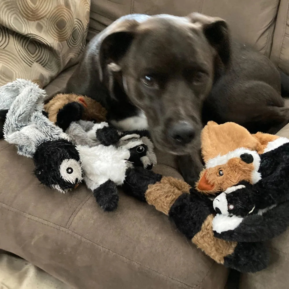 Stuffing-Free Squeaky Dog Chew Toy