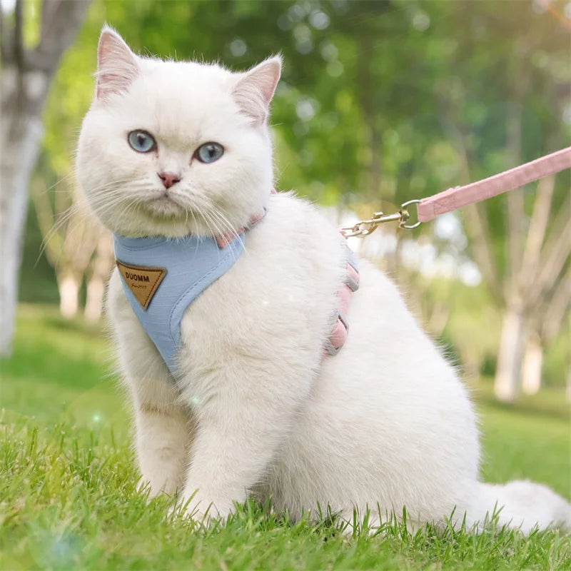 Fashionable Pet Harness & Leash Set