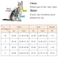 Fashionable Pet Harness & Leash Set