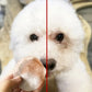 130pcs Pet Eye Cleaning Wipes