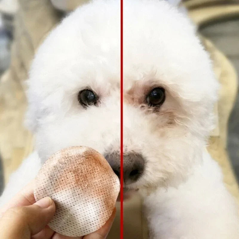 130pcs Pet Eye Cleaning Wipes