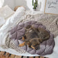 Dog Cooling Leaf Mat Blanket