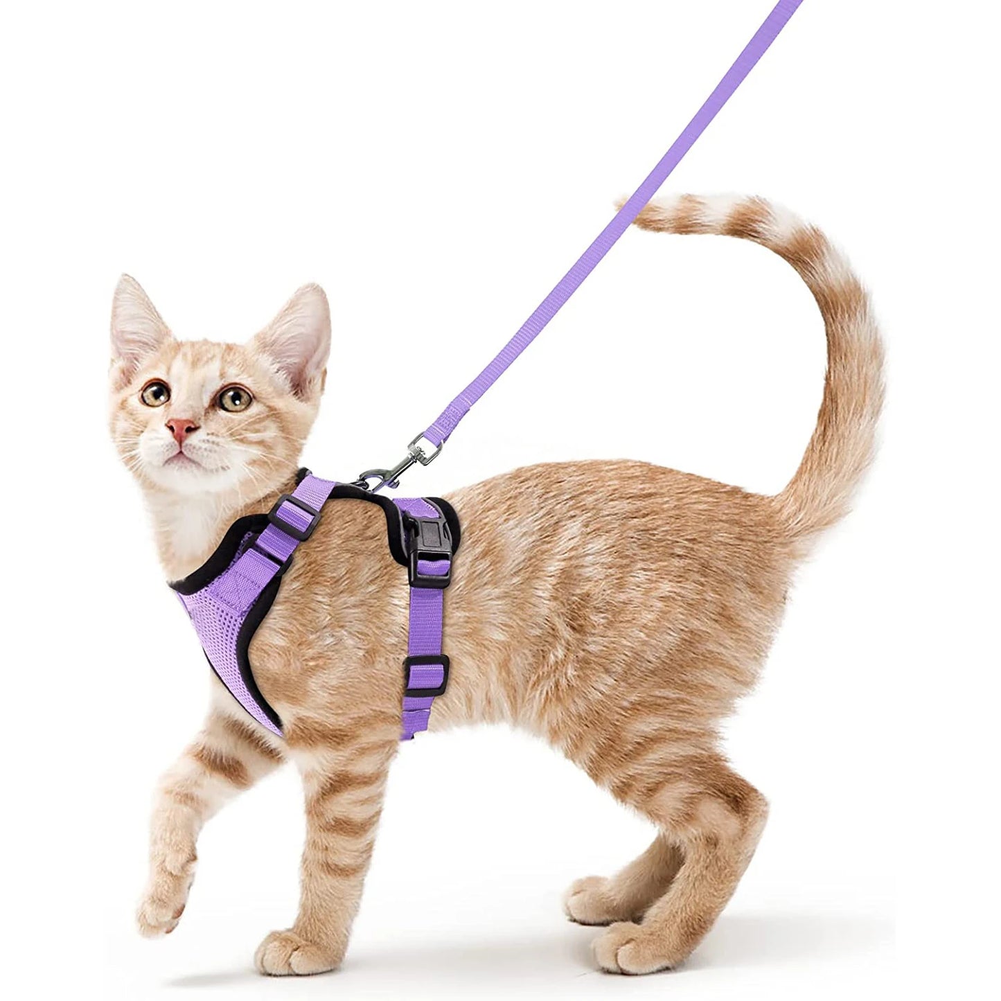 Escape-Proof Adjustable Cat Harness & Leash