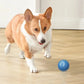 Smart Interactive Moving Dog Toy Ball