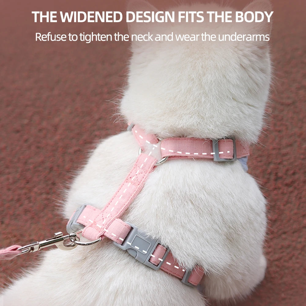 Fashionable Pet Harness & Leash Set