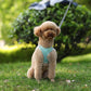 Adjustable Dog Harness & Leash Set