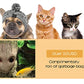 DualPet 20-Piece Cat Toy Variety Set