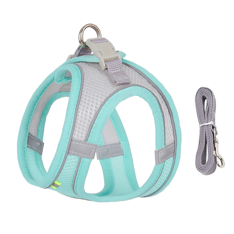 Adjustable Dog Harness & Leash Set