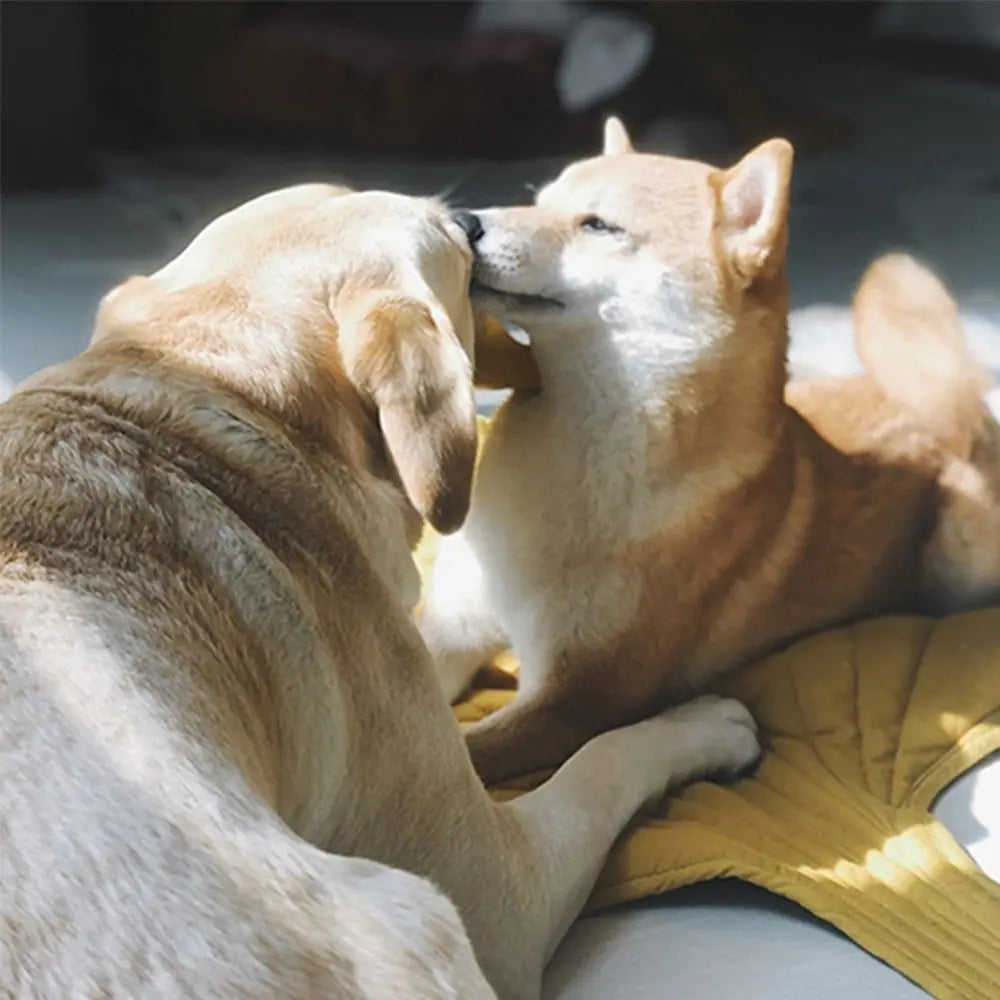 Dog Cooling Leaf Mat Blanket