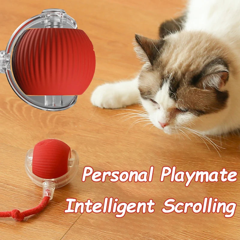 Automatic Rolling Cat Toy Ball with Faux Tail