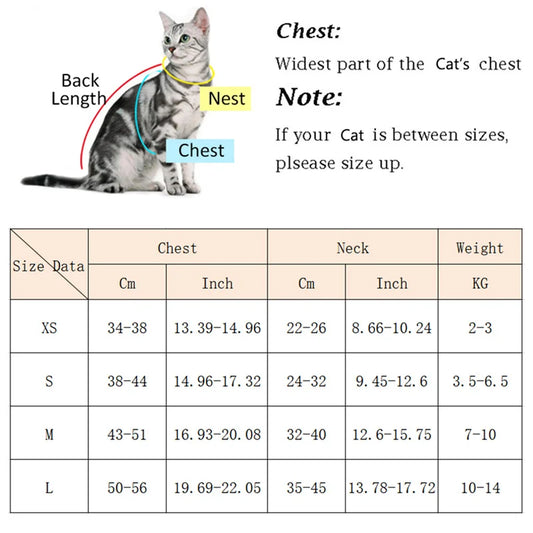 Fashionable Pet Harness & Leash Set