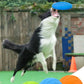 OUZEY Bite-Resistant Flying Disc Toy