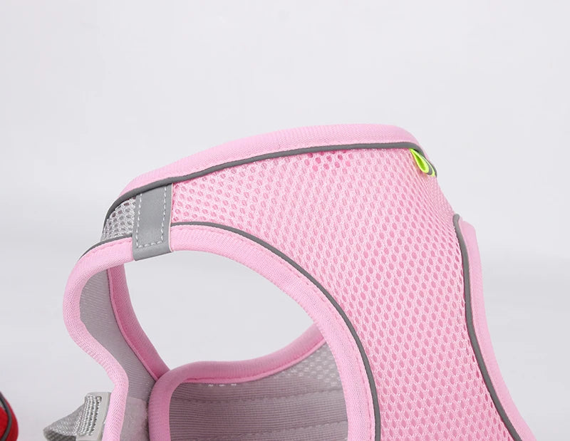 Adjustable Dog Harness & Leash Set