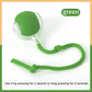 Smart Interactive Moving Dog Toy Ball
