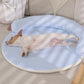 Non-Toxic Pet Cooling Mat