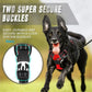 Dog Collar, Harness & Leash Set