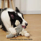 Bite-Resistant Squeaky Plush Dog Toy