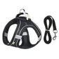 Adjustable Dog Harness & Leash Set