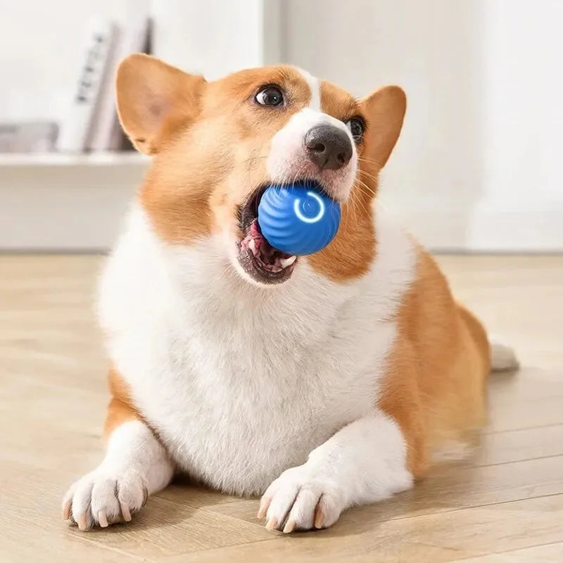 Smart Interactive Moving Dog Toy Ball
