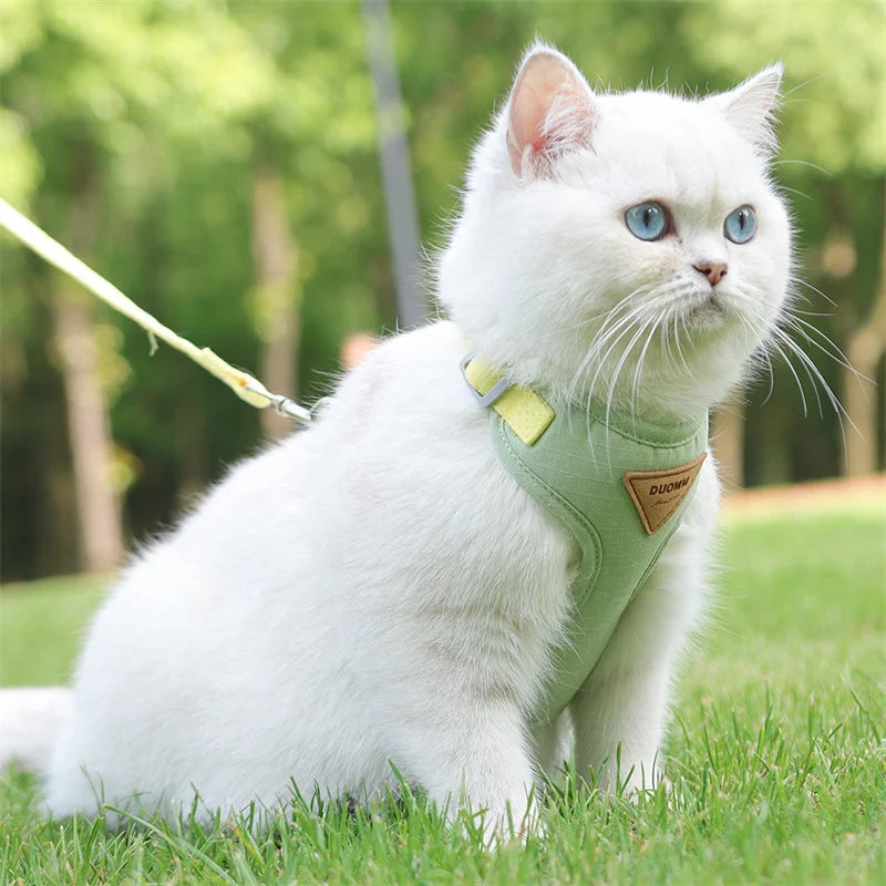 Fashionable Pet Harness & Leash Set