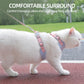 Fashionable Pet Harness & Leash Set