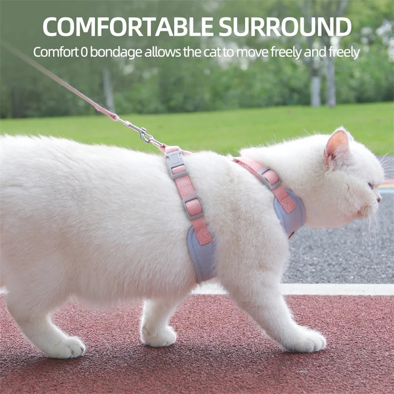Fashionable Pet Harness & Leash Set