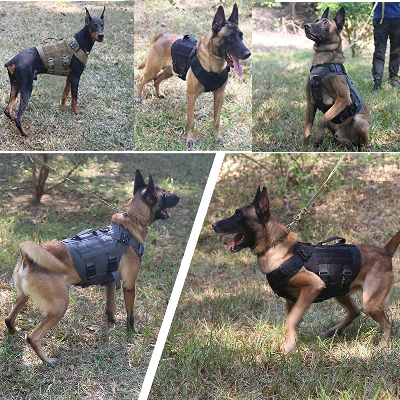 Tactical Military Dog Harness & Leash Set