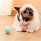 Smart Interactive Moving Dog Toy Ball