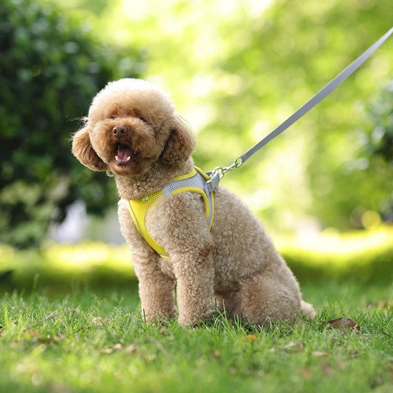 Adjustable Dog Harness & Leash Set