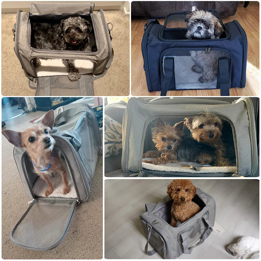 Soft-Side Pet Carrier Backpack