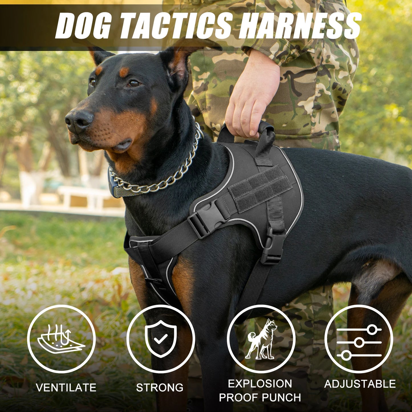 Tactical Dog Training Harness