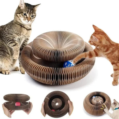 Round Cat Scratching Board with Ball