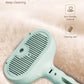 Pet Steam Massage Hair Removal Comb