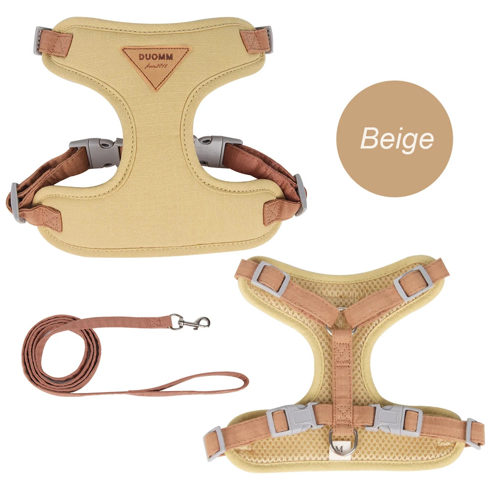 Fashionable Pet Harness & Leash Set