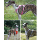 No-Pull Reflective Dog Harness Vest