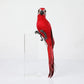 Handmade Feather Parrot Lawn Ornament