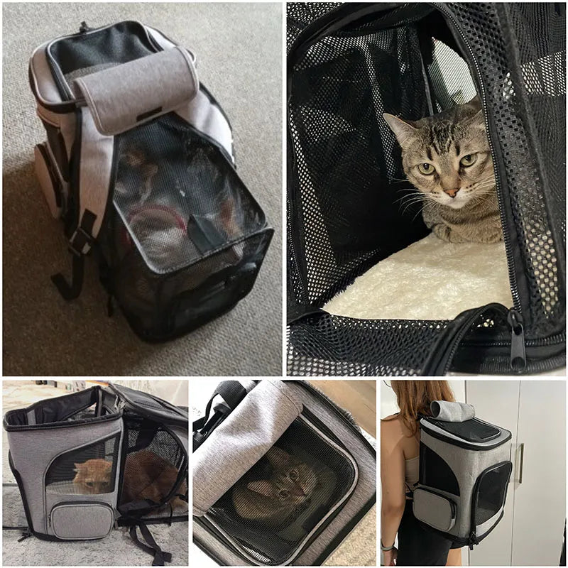 Breathable Foldable Pet Carrier Backpack