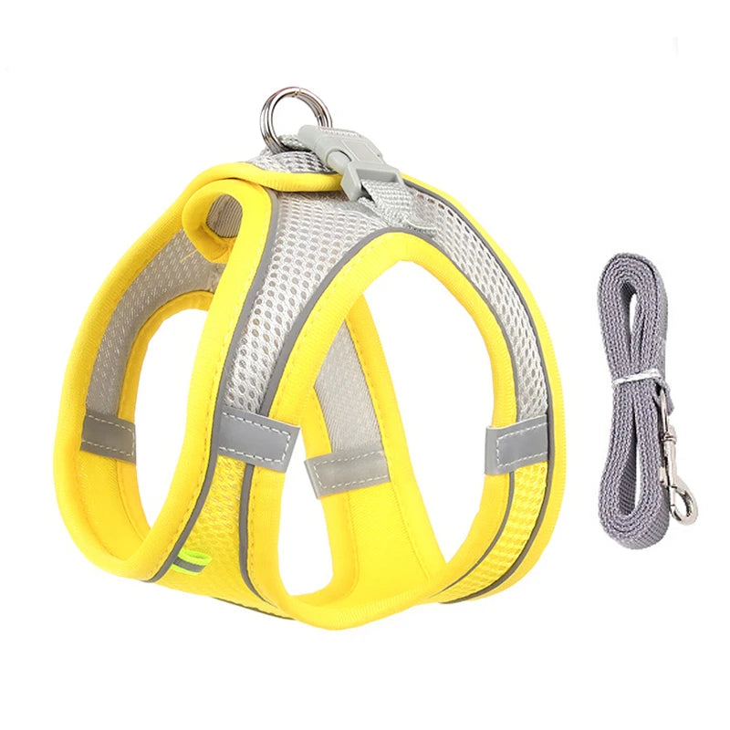 Adjustable Dog Harness & Leash Set