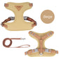 Fashionable Pet Harness & Leash Set
