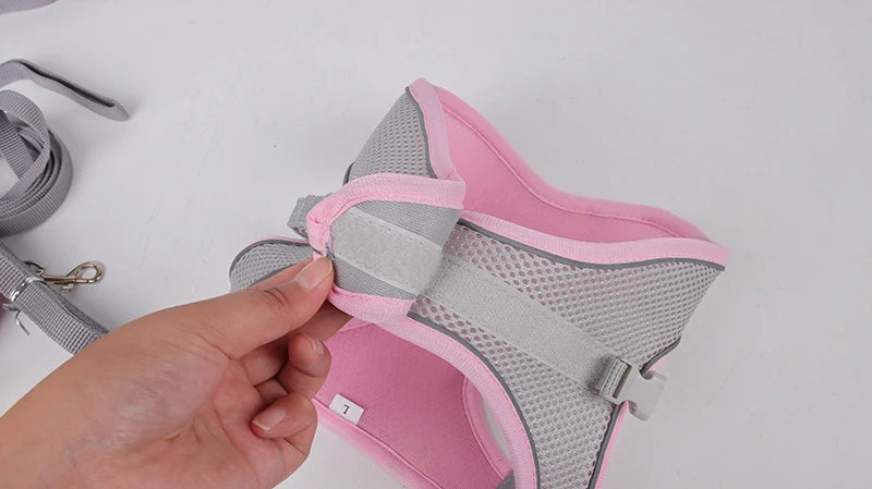 Adjustable Dog Harness & Leash Set