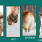 Rechargeable Electric Pet Hair Clipper